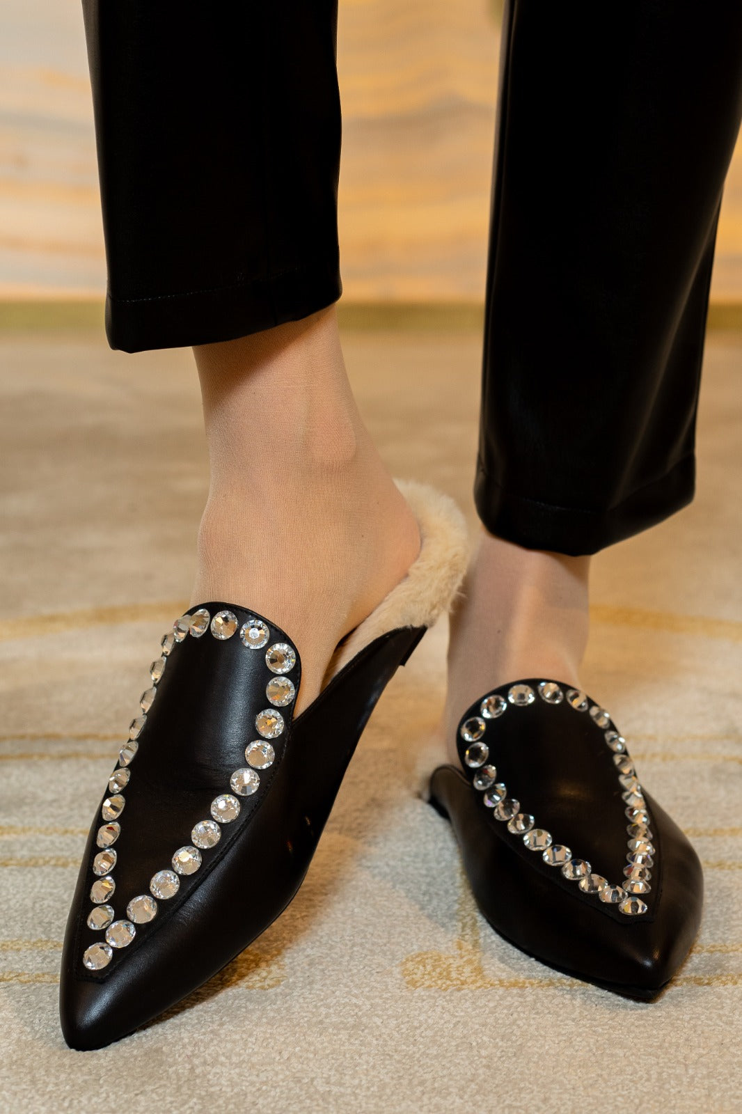 ACW/ARIANNA/CAMOSCIO